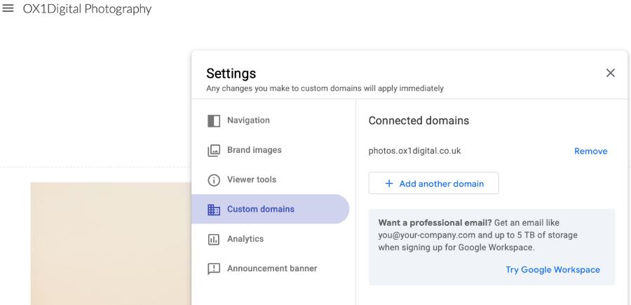 Google Sites custom domain page
